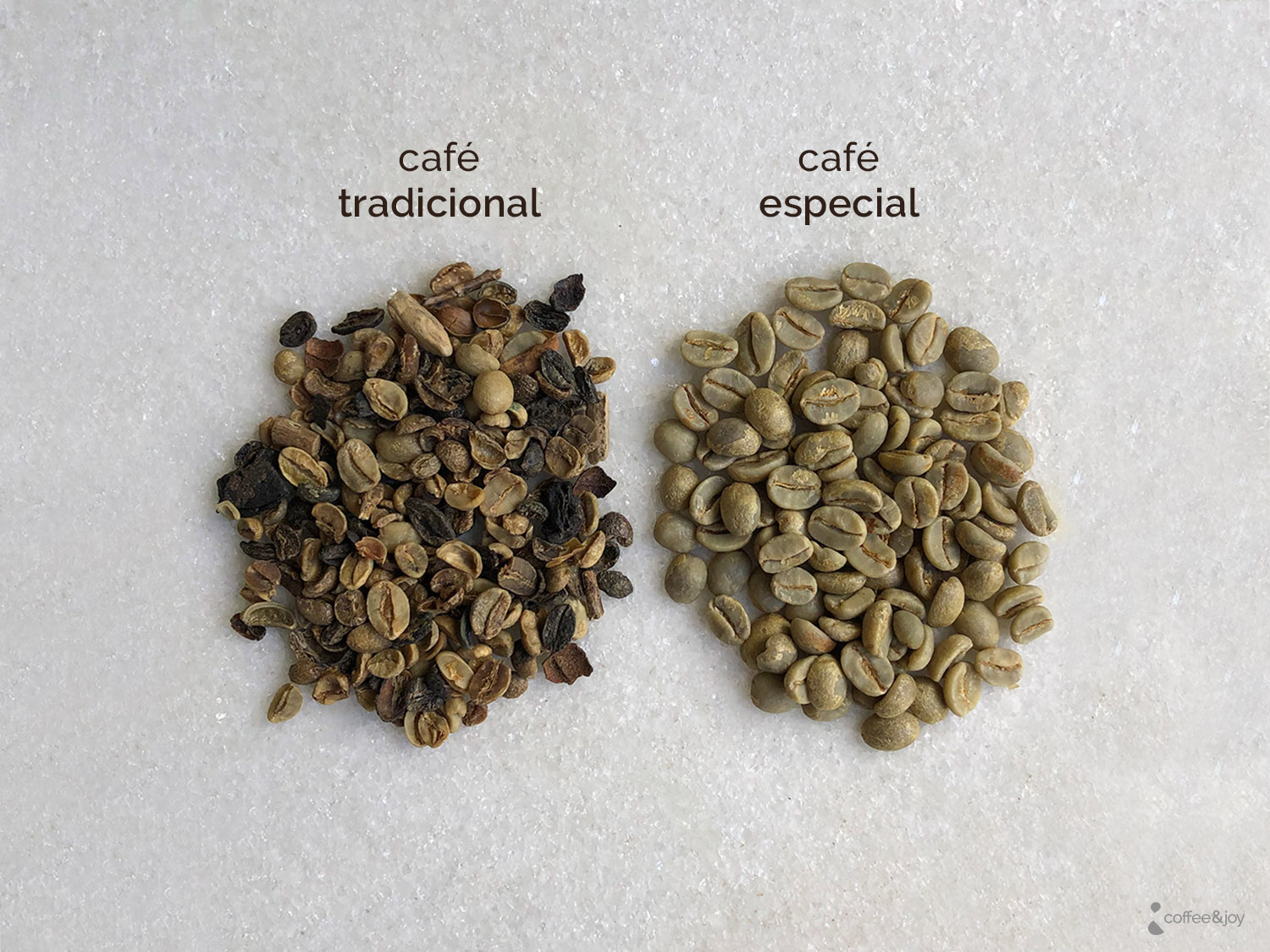 Café Orgânico vs Café Tradicional: descubra as diferenças
